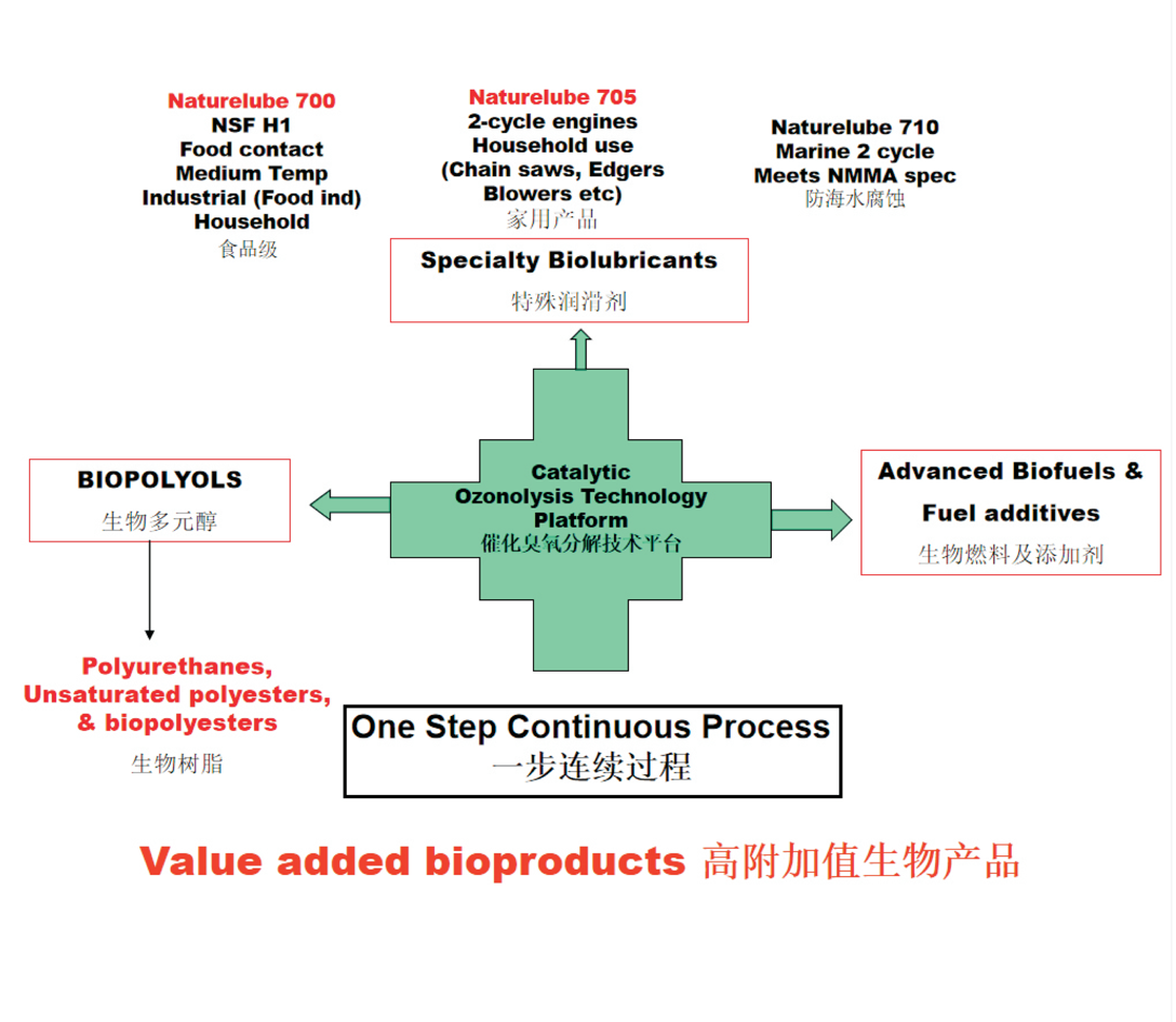 催化臭氧分解技术案例